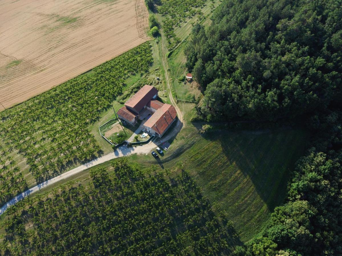 Studio Au Coeur De La Nature Bren Экстерьер фото